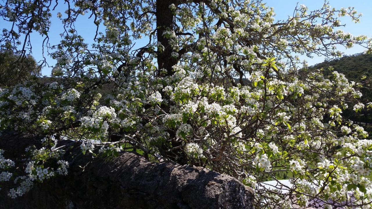 Norton SummitMorialta Barns住宿加早餐旅馆 外观 照片